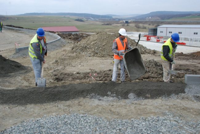 Locuri de muncă vacante