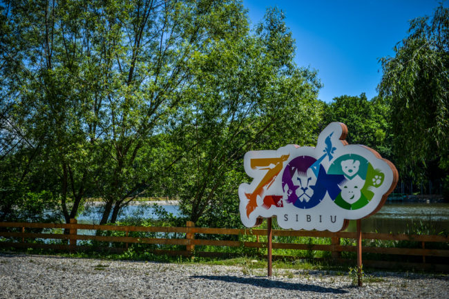 Lecții de reciclare la Zoo Sibiu