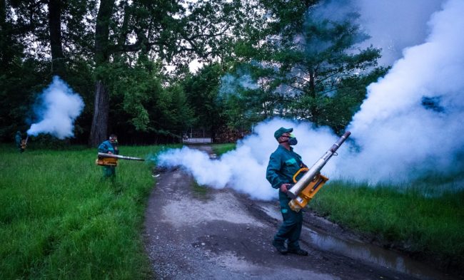 Primăria Sibiu desfășoară o nouă acțiune de dezinsecție împotriva țânțarilor