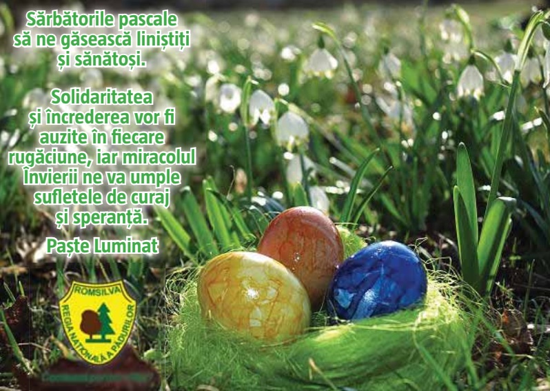 URĂRI PASCALE. Direcția Silvică Sibiu