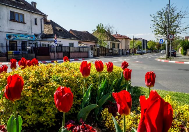 Aerul la control! Rezultatele măsurătorilor de poluare efectuate în Sibiu și Șura Mare