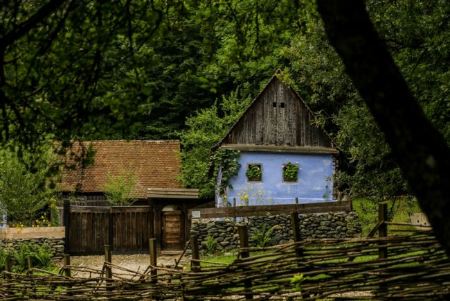 Atelier de extragere a mierii din faguri la Muzeul ASTRA