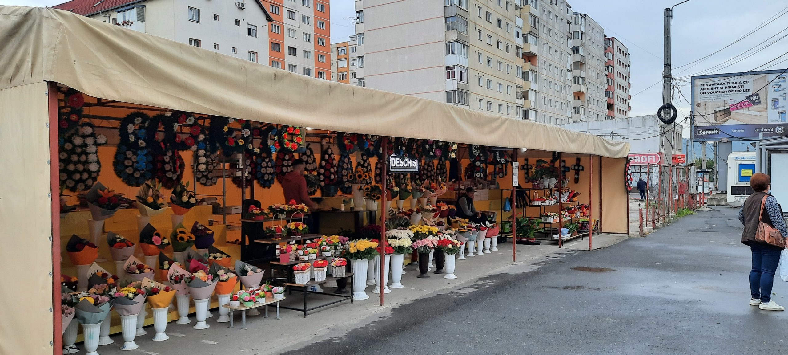 flori-florarie-vasile-aaron-ziarul-mesagerul-de-sibiu