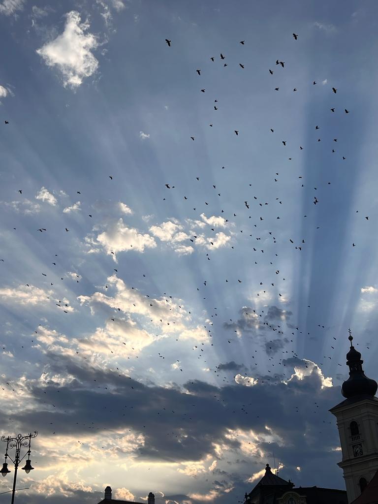 Alertă meteo. Vânt năpraznic în sudul județului, până mâine seară