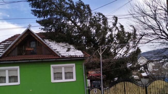 Copac peste casă, din cauza vântului puternic