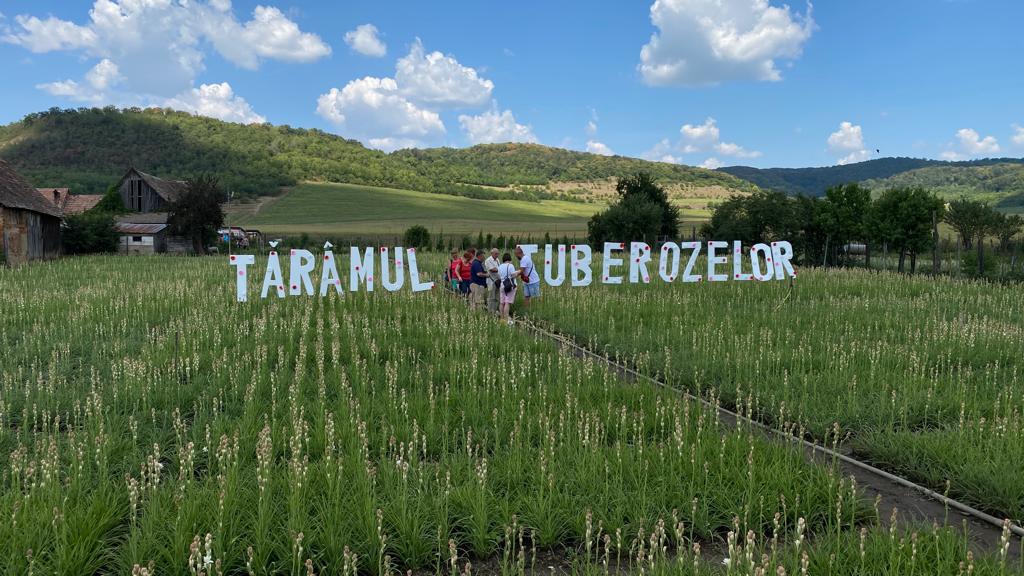 Hoghilagul se pregătește pentru cea mai parfumată sărbătoare a verii. „Tărâmul Tuberozelor” revine într-o ediție specială, desfășurată pe parcursul a două weekenduri