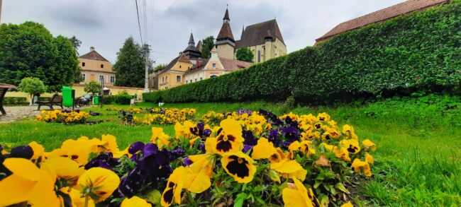 Curs informal de ghizi turistici la Biertan