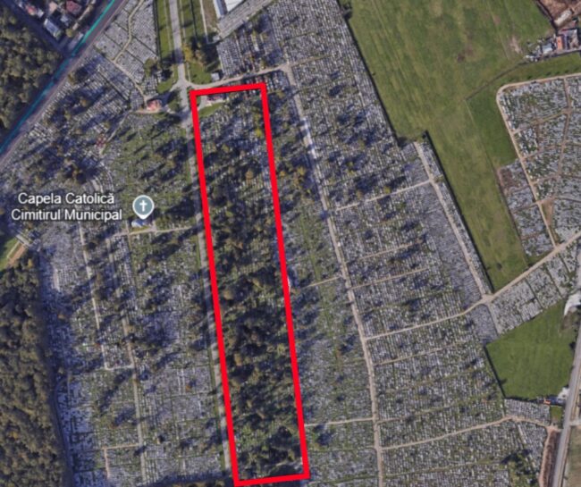 Cimitirul evanghelic, cel mai verde loc de pe hartă