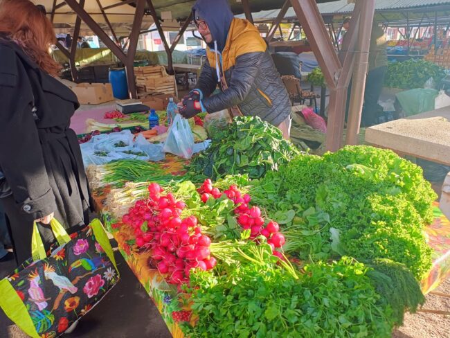 La Piața Cibin au apărut primele verdețuri din acest an. Vezi prețurile