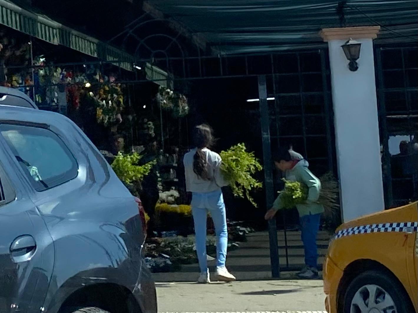 Salcia, la mare căutare de Florii în Sibiu: Cimitirul Municipal, împânzit de vânzători