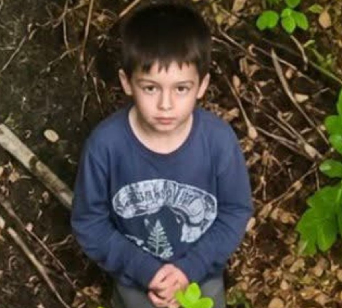 Cum a supraviețuit micul Alex singur, în pădure. Explicația medicilor: Nu a fost speriat