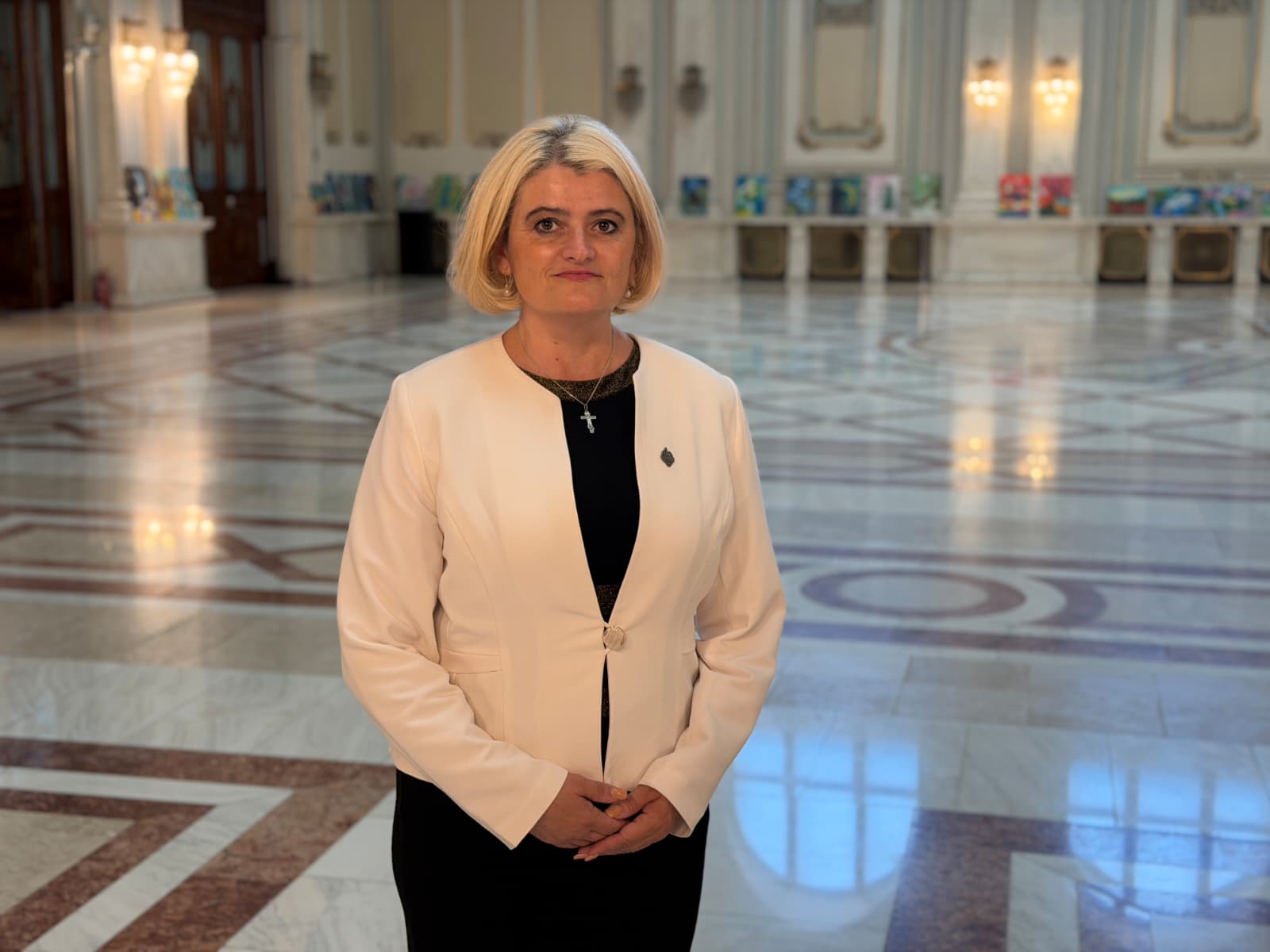 Luminița Păucean Fernandes, senatoare AUR: „Securitatea energetică nu se apără cu răspunsuri birocratice” (CP)