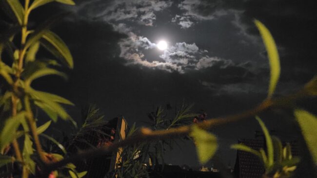 Eclipsă de Lună vizibilă din România, în noaptea de 27 spre 28 august