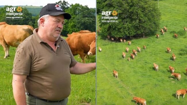„Nu trebuie să inventăm noi roata”. Apelul unui fermier din Bruiu